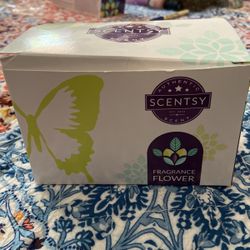 Home Fragrance 
