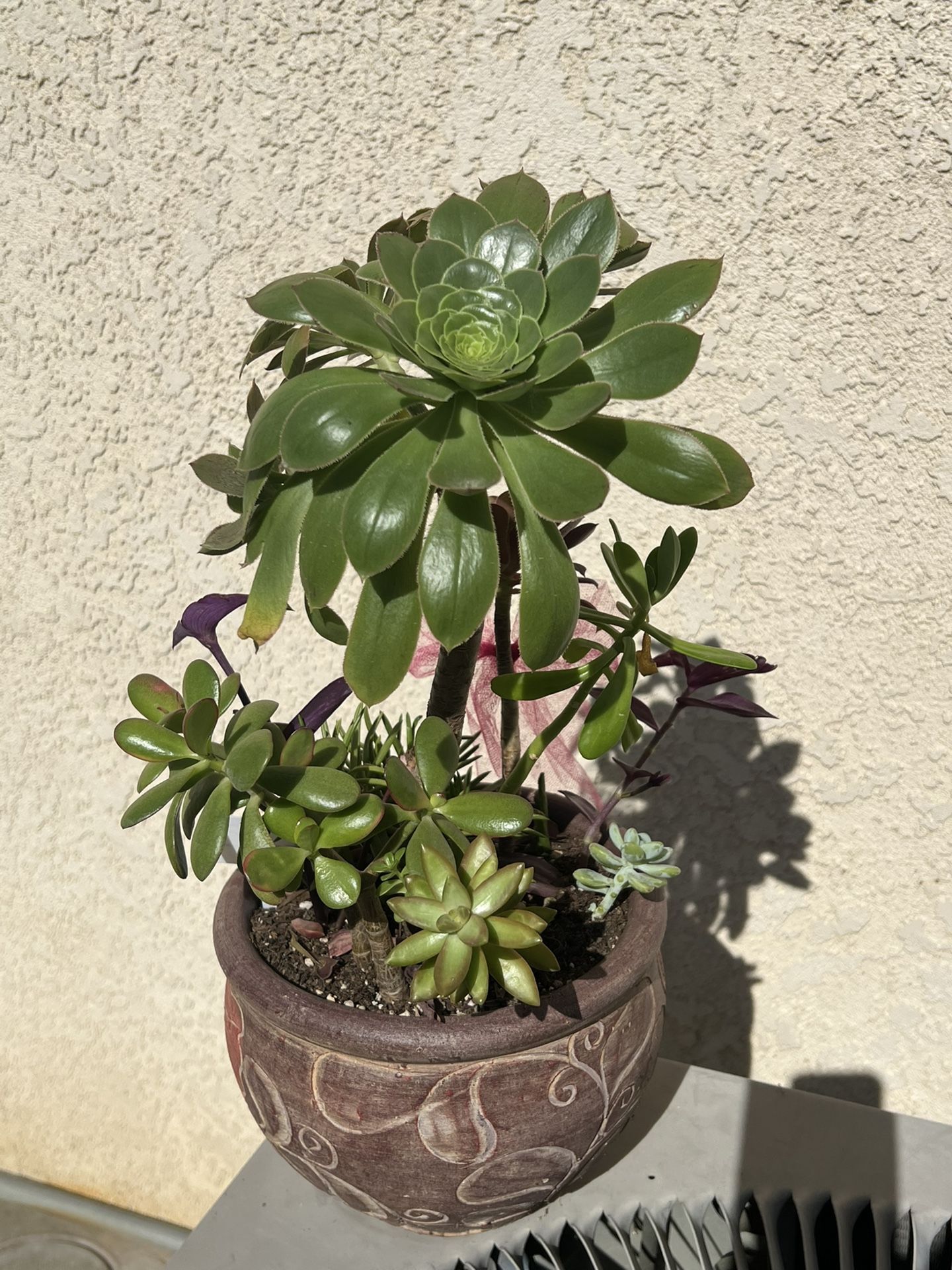 Large Succulent Planter