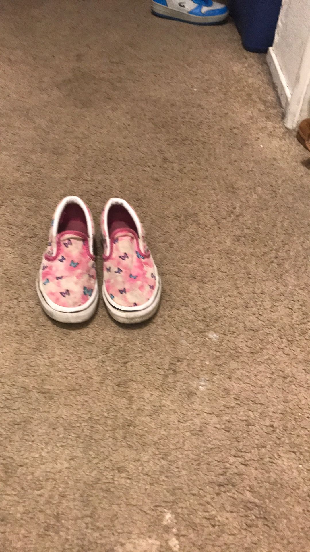 Butterfly Vans Size 13