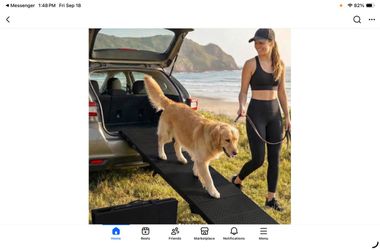 Folding Pet Ramp for Car