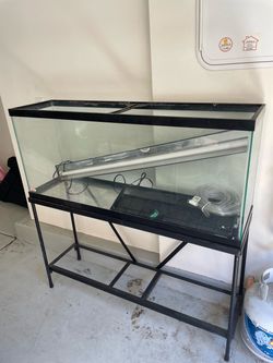 Fish tank