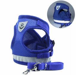 XS Harness