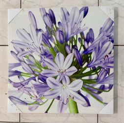 Pair of Two photo canvases OBO