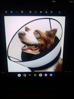 Dog Size Medium Safety Cone Donut Collar - New