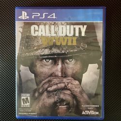 Call Of Duty WWII (PS4)