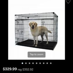 Xl Dog Kennel