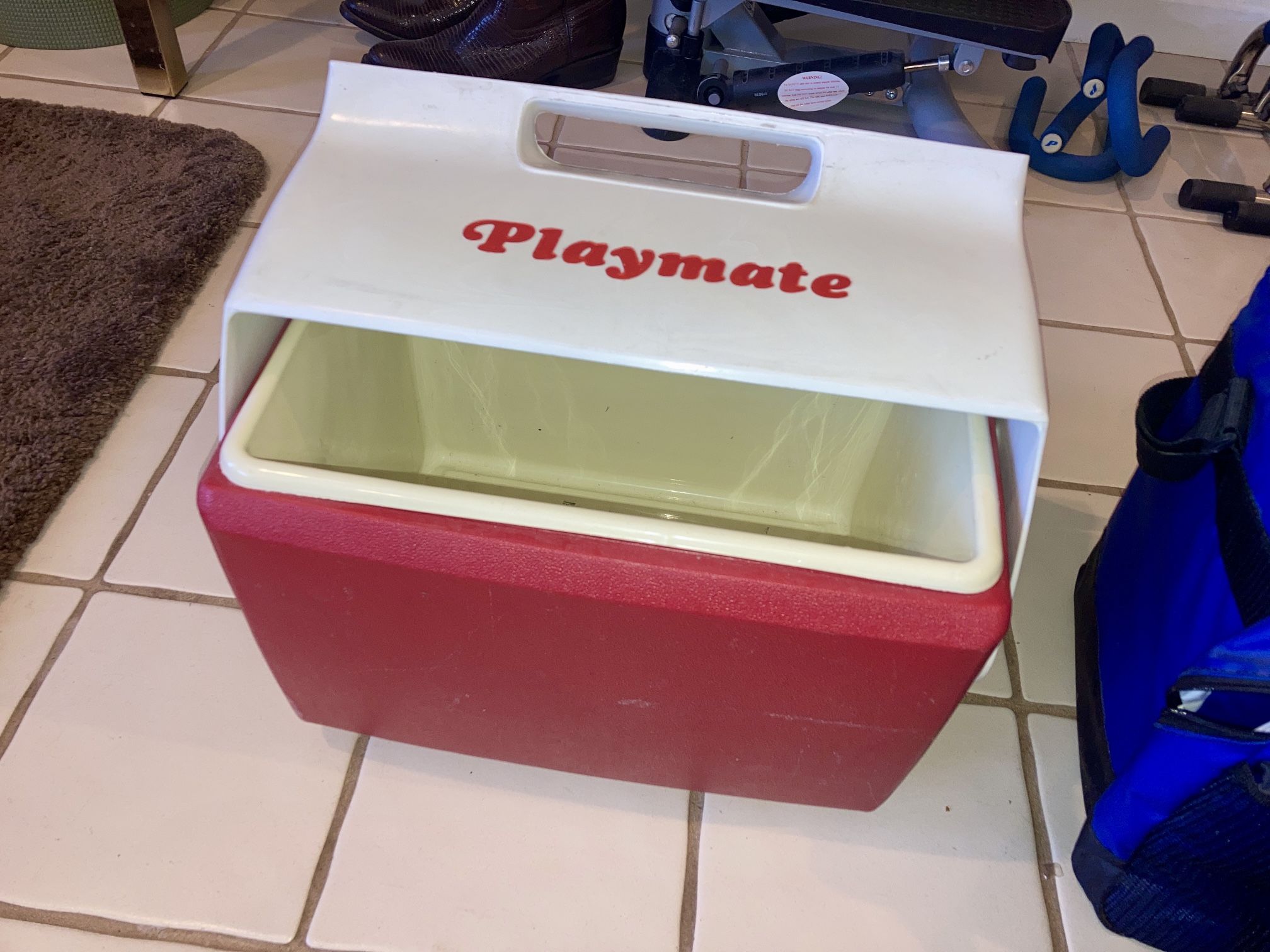 Cooler Igloo Picnic Party Playmate Beach Ice Chest