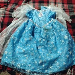 Elsa Light Up Dress Costume 