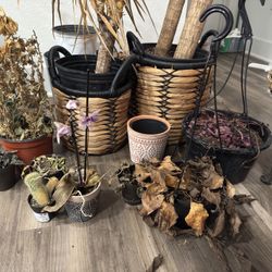 Bunch Of Pots (with soil) 