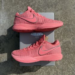 Nike LeBron 20 Size 10.5