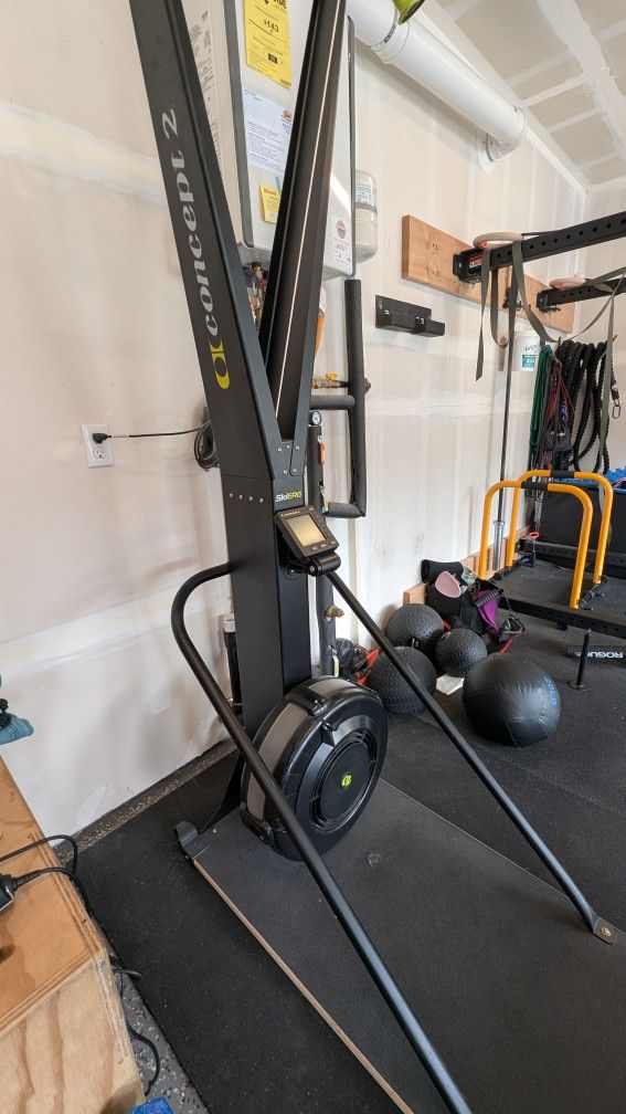 Concept 2 Skierg