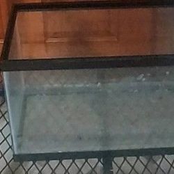 10 Gallon Tank 