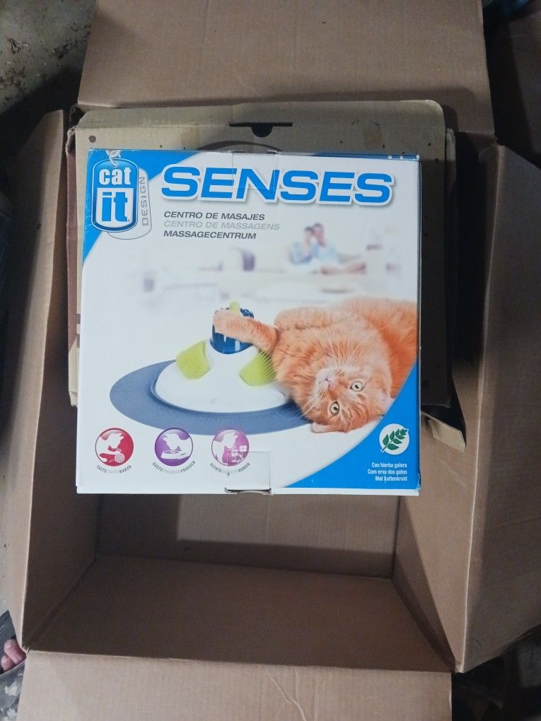 Cat Toys