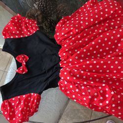 Mini Mouse Costume