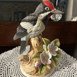 Andrea by Sadek Downy Woodpecker 