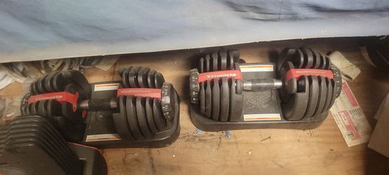 Bowflex SelectTech Workout Bundle: SelectTech 552 Dumbbells (Pair) + SelectTech 2080 Barbell & Curl Bar Set with Stand