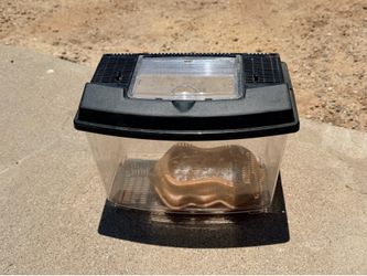 Plastic Reptile Carrying Cage with Lid with Water Dish (LxWxH: 6” x 10” x 7”)