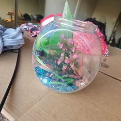 Aquarium Accessories