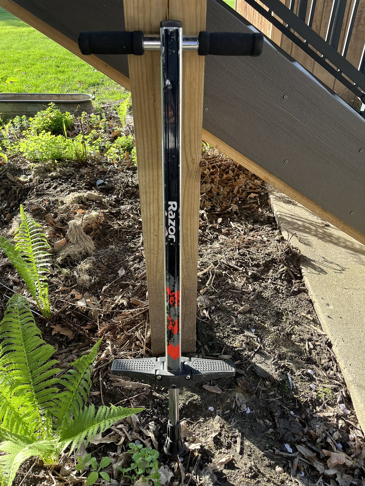 Razor Pogo Stick