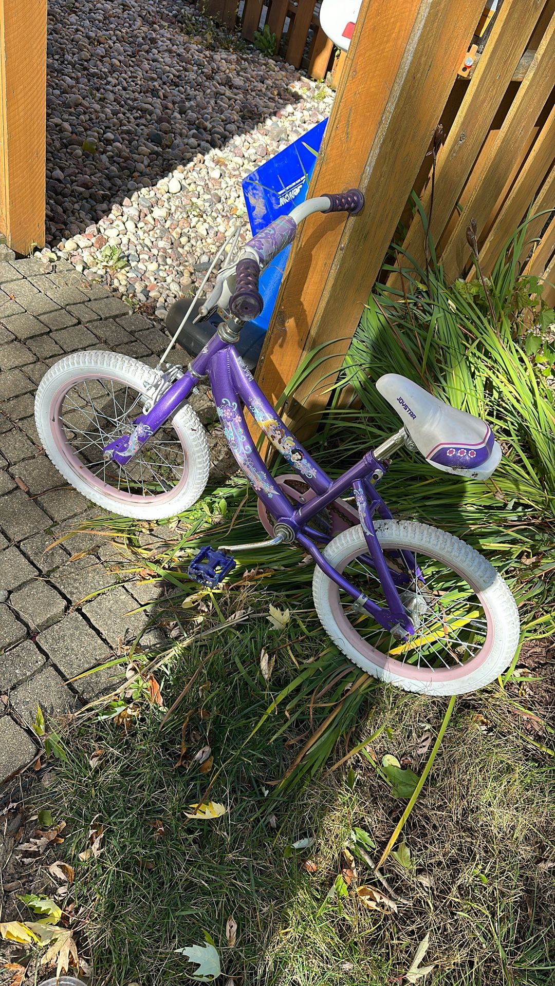 Girls Bike