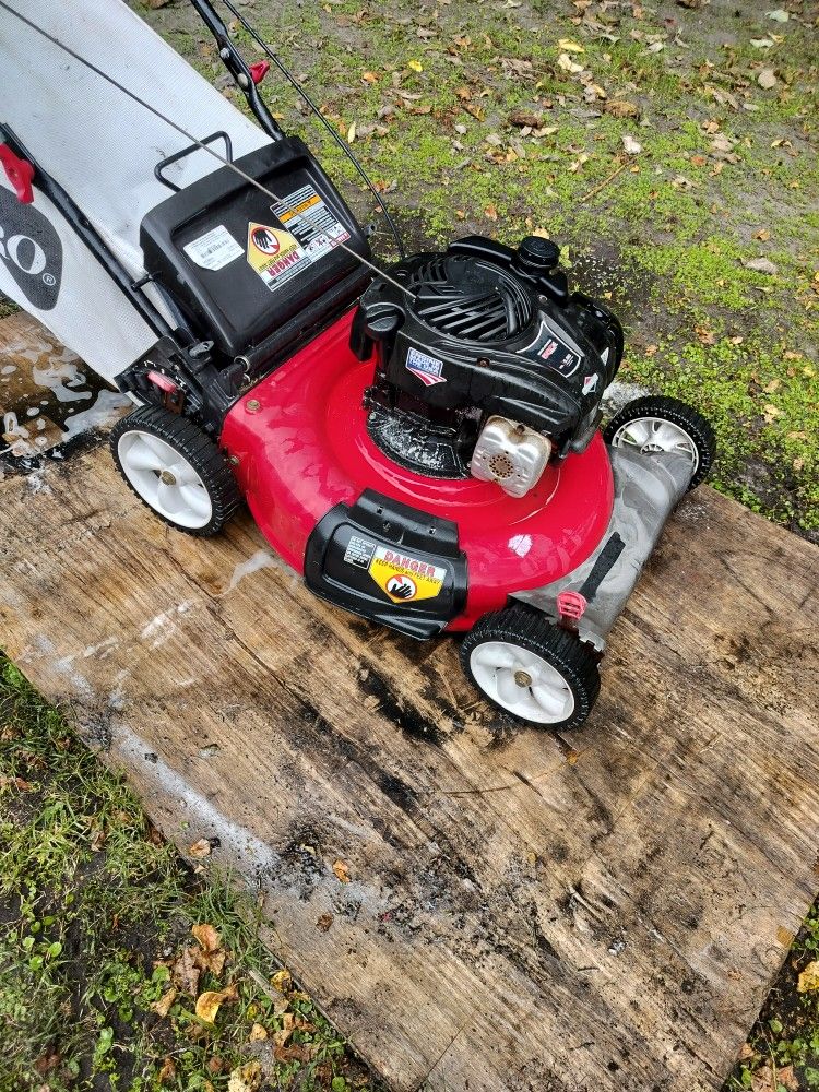 Two Beast Mowers Non Running Needs Carb Cleaning To Run