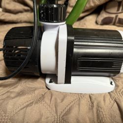 Dc Pump 12000