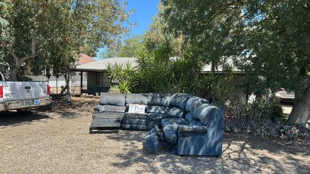 Free sectional