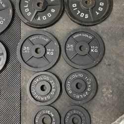 Body-Solid Cast Iron Weight Plates Set – 45/35/25/10/5/2.5 lb – Gym Weights 