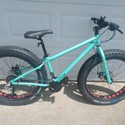 New Gravity Monster Fat Tire Bike Bicycle Disc Medium - $300  FIRM 
