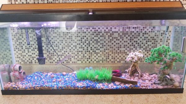 55 gallon fish tank for Sale in Columbus, OH OfferUp