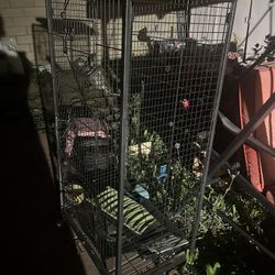 Multi Level Cage For Idk But Not Birds
