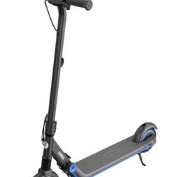 Segway Scooter