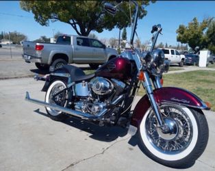 2008 Harley Softail "Vicla" - Sale or Trade!!!