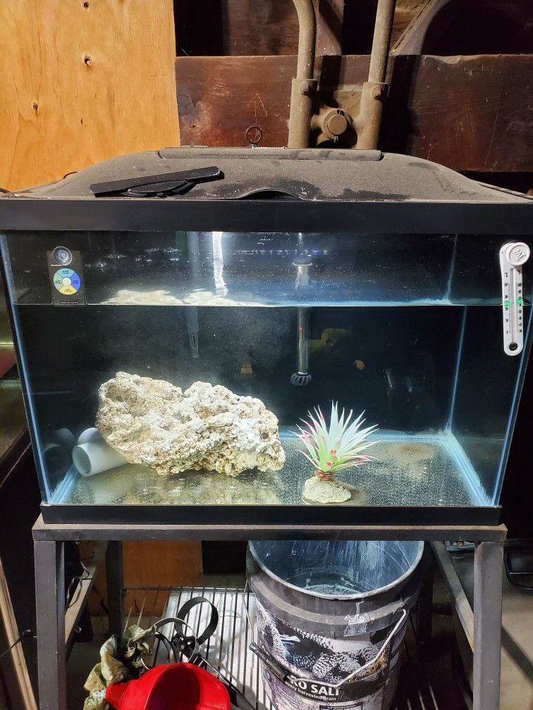 20 GALLON AQUARIUM WITH FILTER AND LED LIGHT