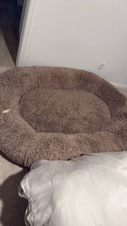 Human Size Dog Bed
