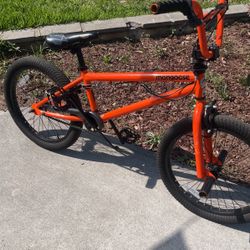 Mongoose