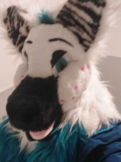 Furry head
