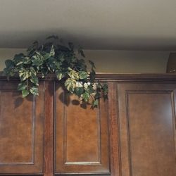 Rectangle Vase with Plants