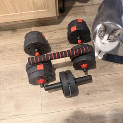 Weights 