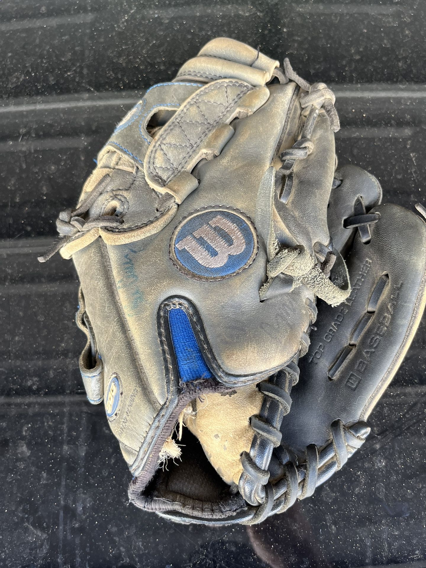 Wilson Youth Baseball Glove / Mitt