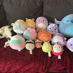 Squishmallows Lot
