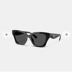 Coach Sunglasses 