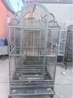 Parrot cage