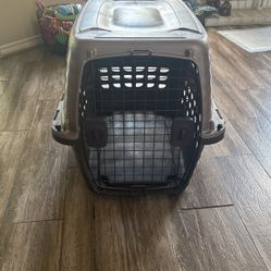 Dog Kennel 
