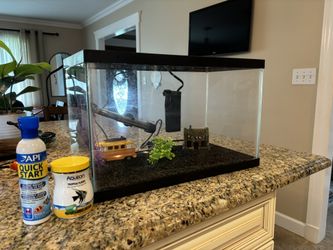 Fish Tank Setup Need Gone