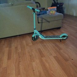 Electric Scooters 