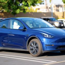 2025 Tesla Model Y