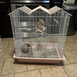 Bird Cage