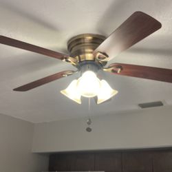 Ceiling fan 48 inch blades