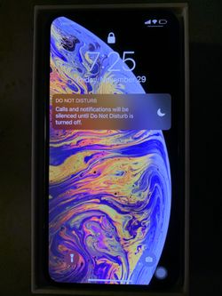 iPhone XS Max (256GB)